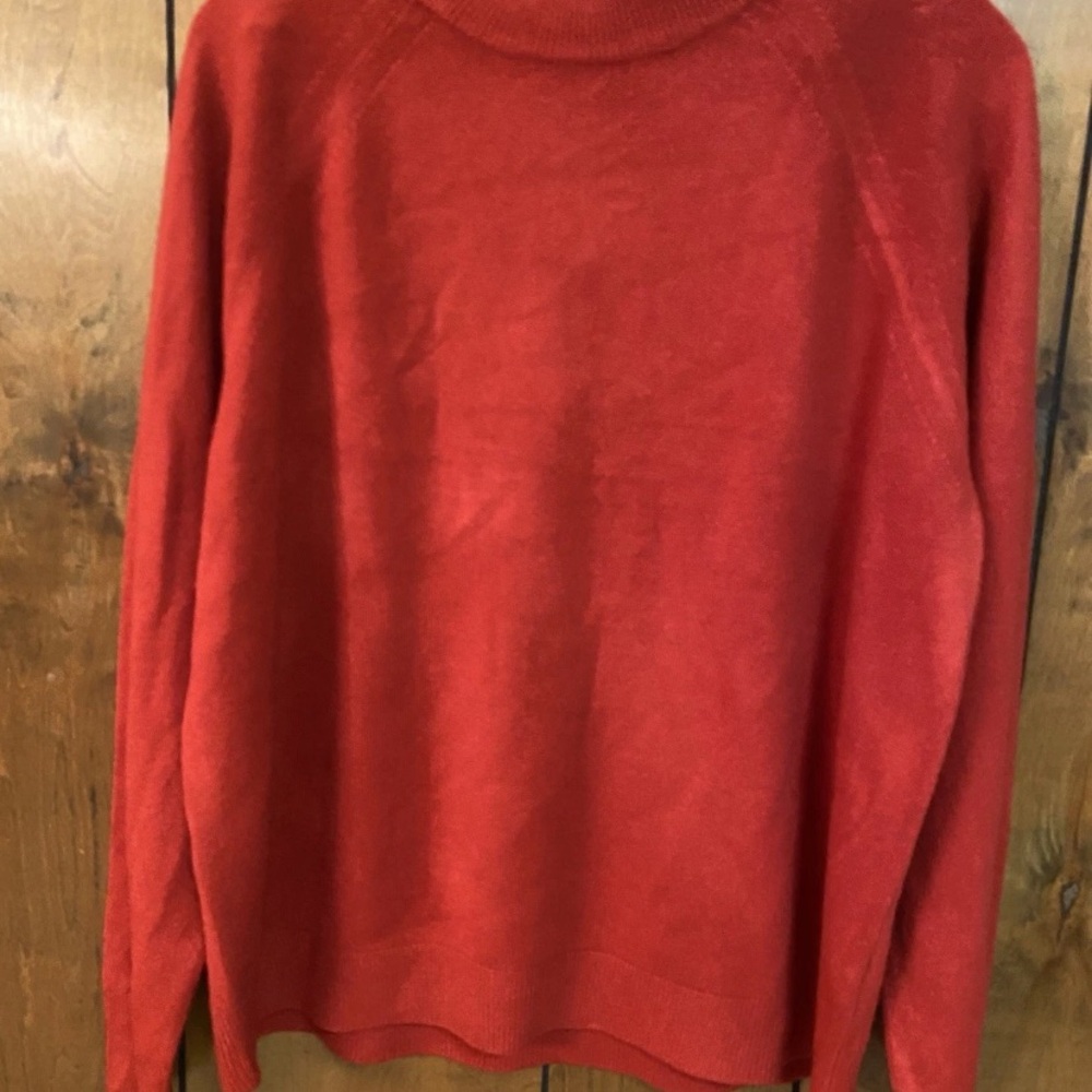 Chic Scarlet Turtleneck Sweater